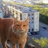 Аватар квестера