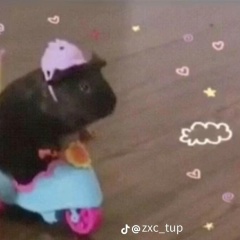 Аватар квестера