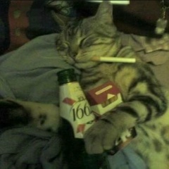 Аватар квестера